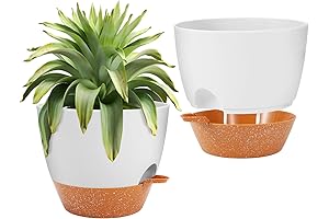 Self-Watering Christmas Tree Stand for Stress-Free Holiday Cheer