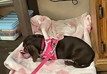 Review Image by Alecia H Alecia H