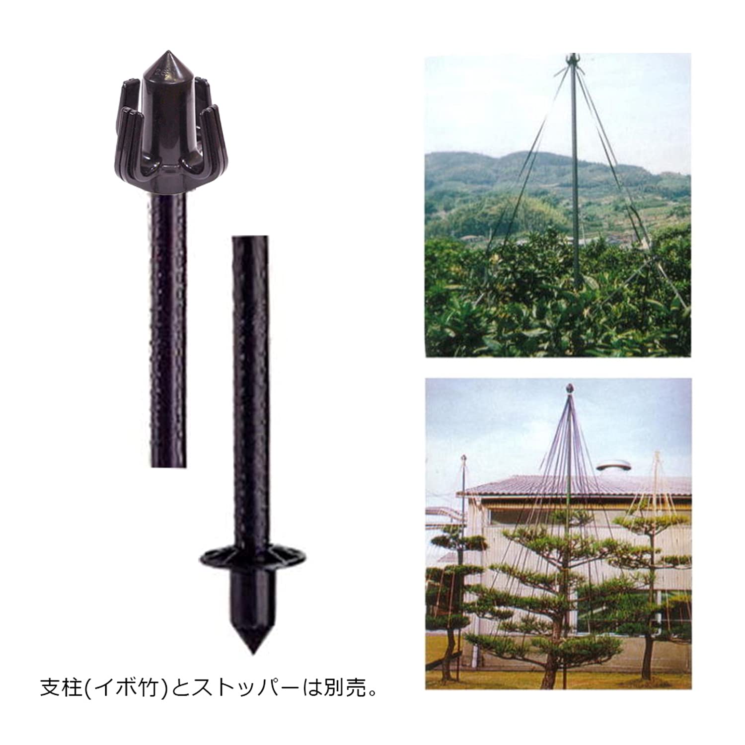 Amazon.co.jp: 積水樹脂 セキスイ 枝吊キャップ 黒 26mm径用 : DIY