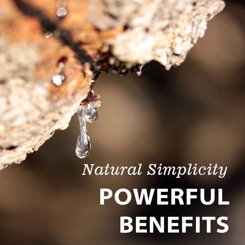 Vitamatic Mastic Gum 1000mg per Serving - Support Digestive Function, Gastrointestinal Health, Immune and Oral Wellness, 120 Capsules - Image 4