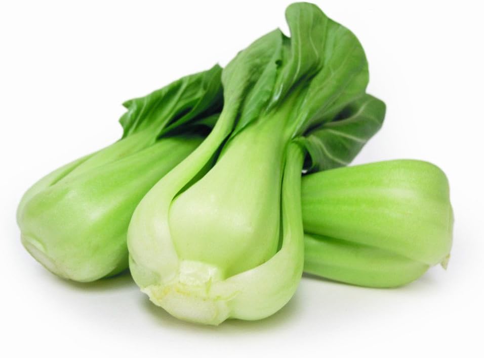 Bok Choy Pak Choi ShangHaiQing White Cabbage 2000 Seeds Easy and Fast Growing