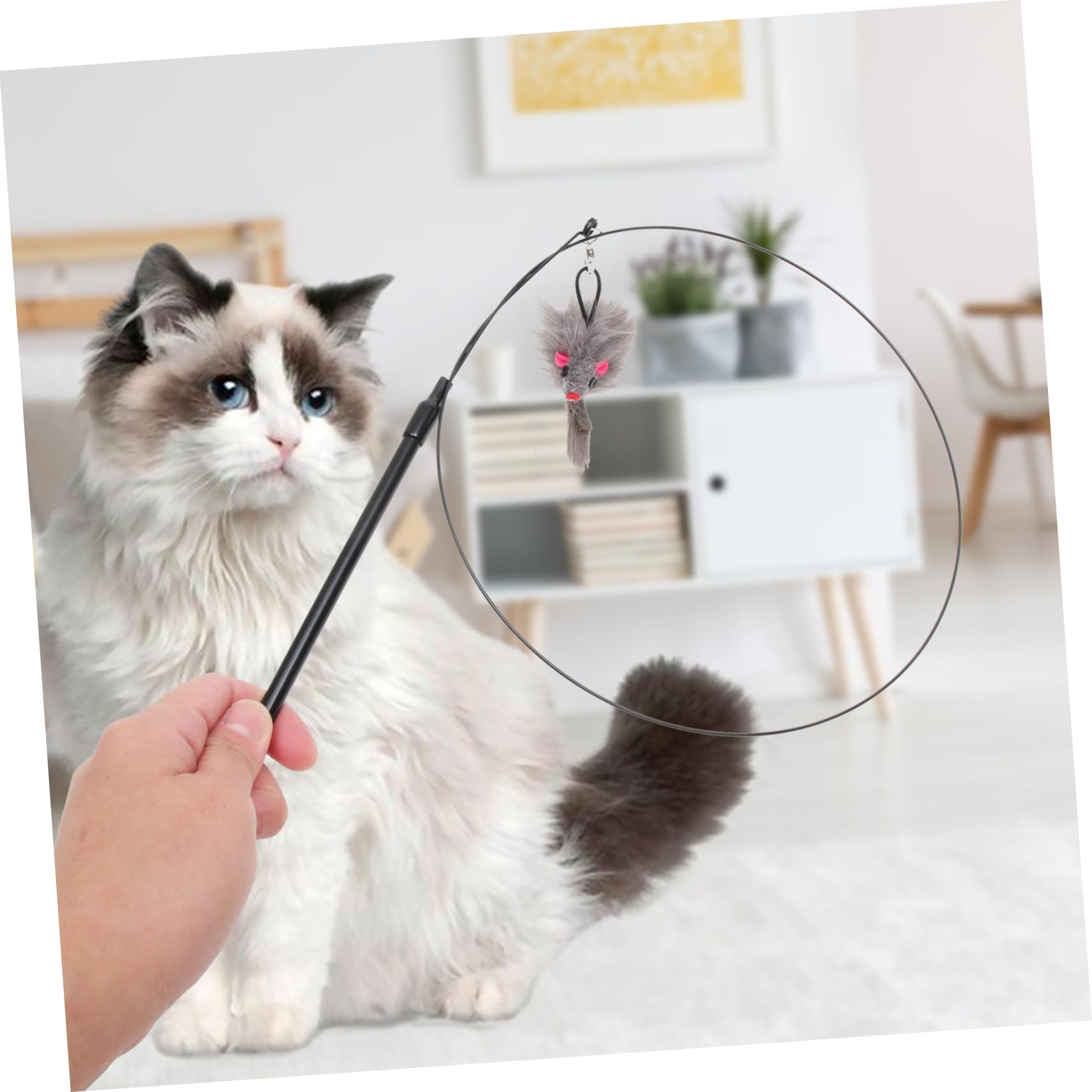 Happyyami Canne à Chat Interactive avec Ventouse Jouet Détachable pour Chats Intérieur Stimule Les Instincts De Chasse Et Renforce Le Lien avec Votre Animal