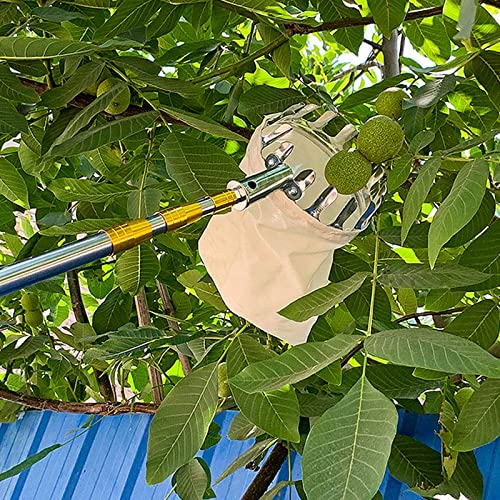 Obstpflücker-Werkzeug – Ausziehbarer Erntekorb für einfache hohe Baumsammlung, ideal für Hausgärtner und effiziente Ernte