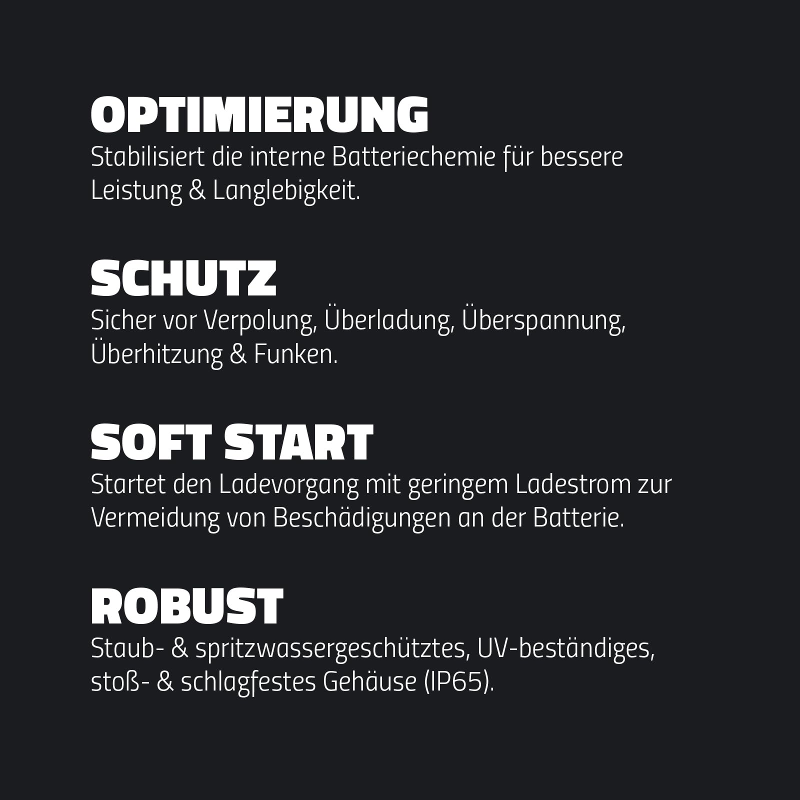 intAct ChargeBox Ladegerät für Motorradbatterien & Rollerbatterien | 0,8A Batterieladegerät für 6V und 12V Bleisäure- und Lithiumbatterien | Mit Erhaltungsladefunktion und Wiederbelebungsfunktion