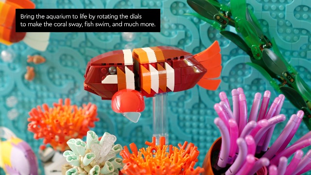 Amazon.com: LEGO Icons Tropical Aquarium Building Set for Adults