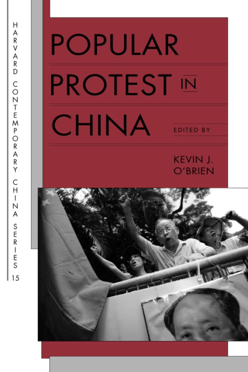 Popular Protest in China (Harvard Contemporary China Series)