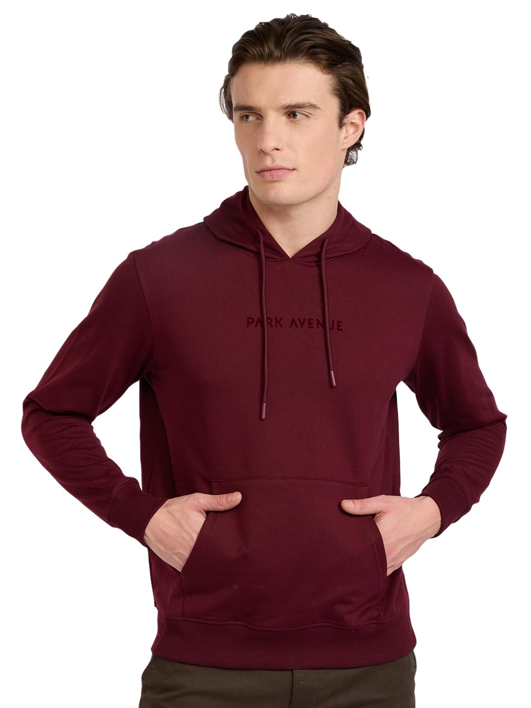 park avenue Men Full Sleeve Slim Fit Solid Pattern Cotton Polyester Blend Regular Neck Regular Neck Casual Sweatshirt-picture-36
