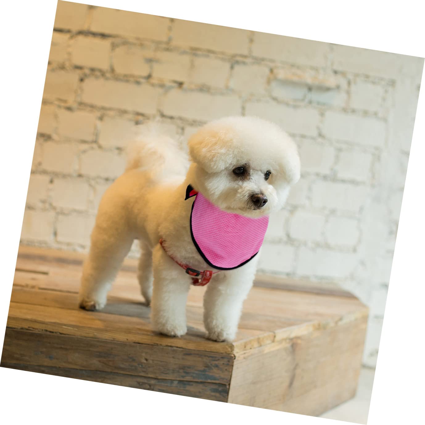 Mipcase 6stücke Hundekühlhalstuch Sommer Kühlschal Für Hunde Und Katzen Leicht Und Atmungsaktiv Für Im Freien Blaues Und Pinkes Punktdesign Für Heiße Tage
