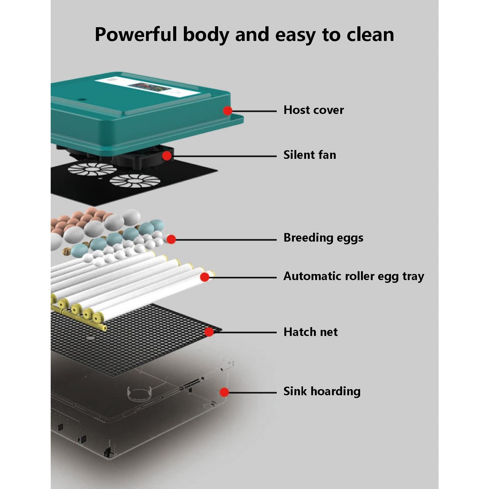 Amazon.co.jp: デジタル56卵インテリジェントインキュベーター