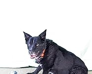 Review Image by Chris Locke Chris Locke