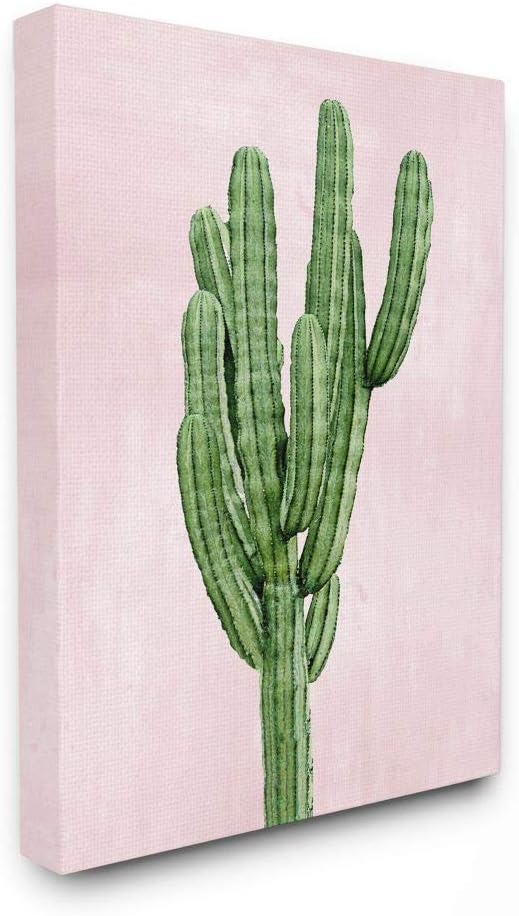 Stupell Industries Desert Cactus Plant Minimal Succulent Nature Pink Green, Designed by Mia Jensen Wall Art, 24 x 30