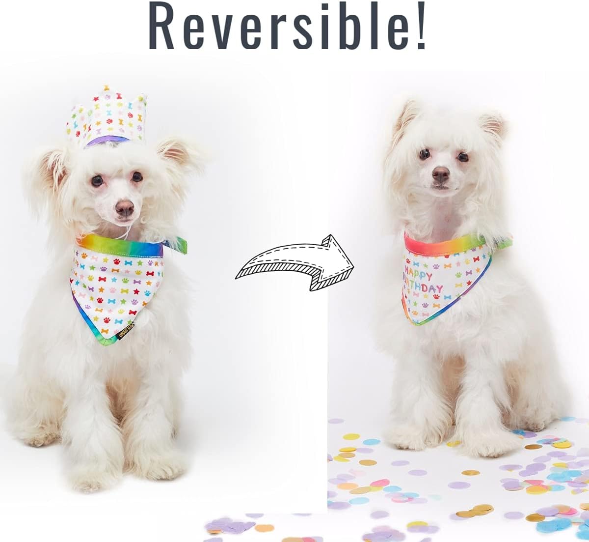 PET LONDON Dog Birthday Luxury Set Holographic Party CROWN Hat & matching BANDANA. ADD ANY AGE - Image 5