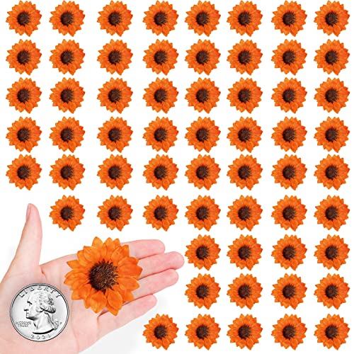 60 piezas de pequeñas flores secas prensadas de girasol naranja para manualidades miniatura 1