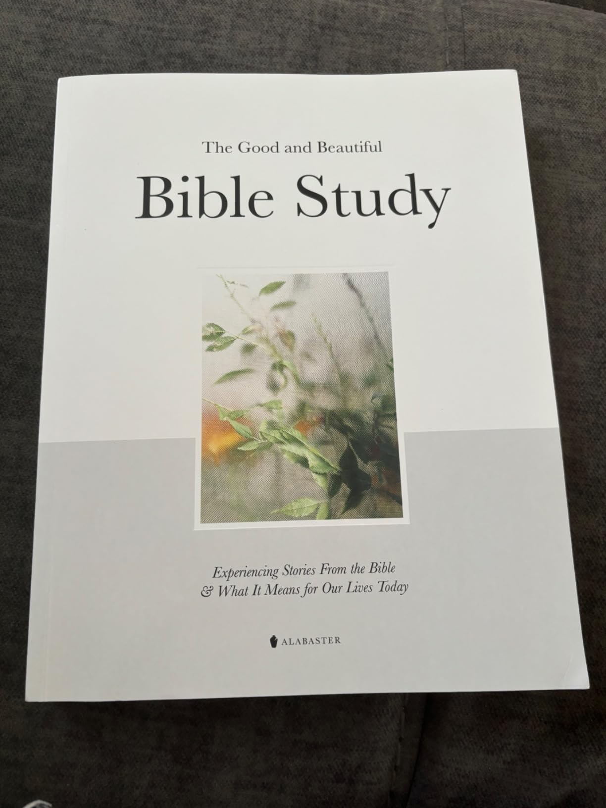 The Good and Beautiful Bible Study Experiencing Stories From the