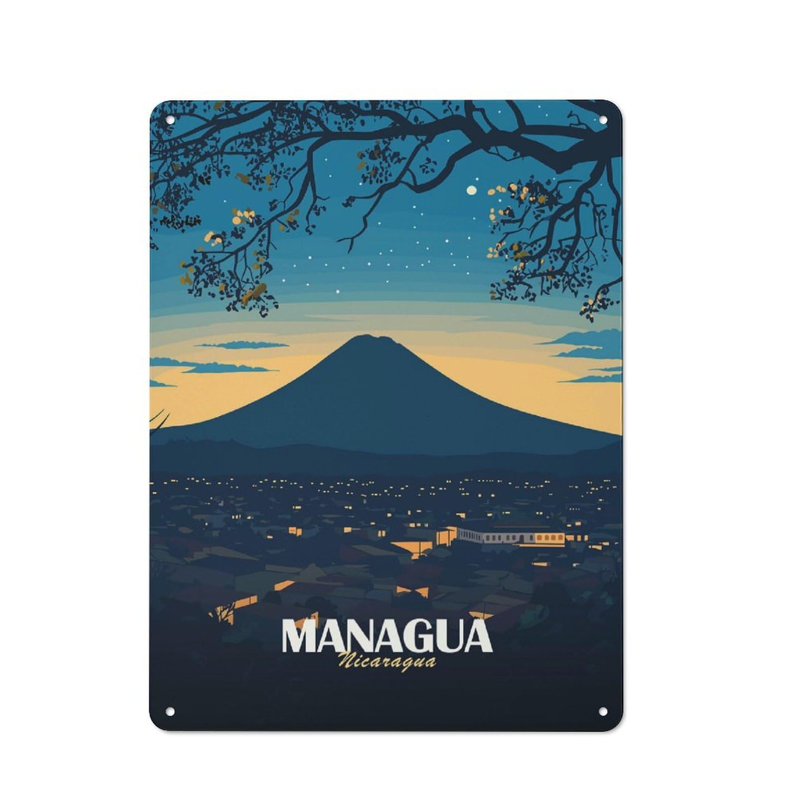 Junmoney Managua Nicaragua Cityscape At Night Shed Style Shed Metal Sign 40X30cm, Shed Wall Decor For Shed, Garden Room, Porch Or Garage
