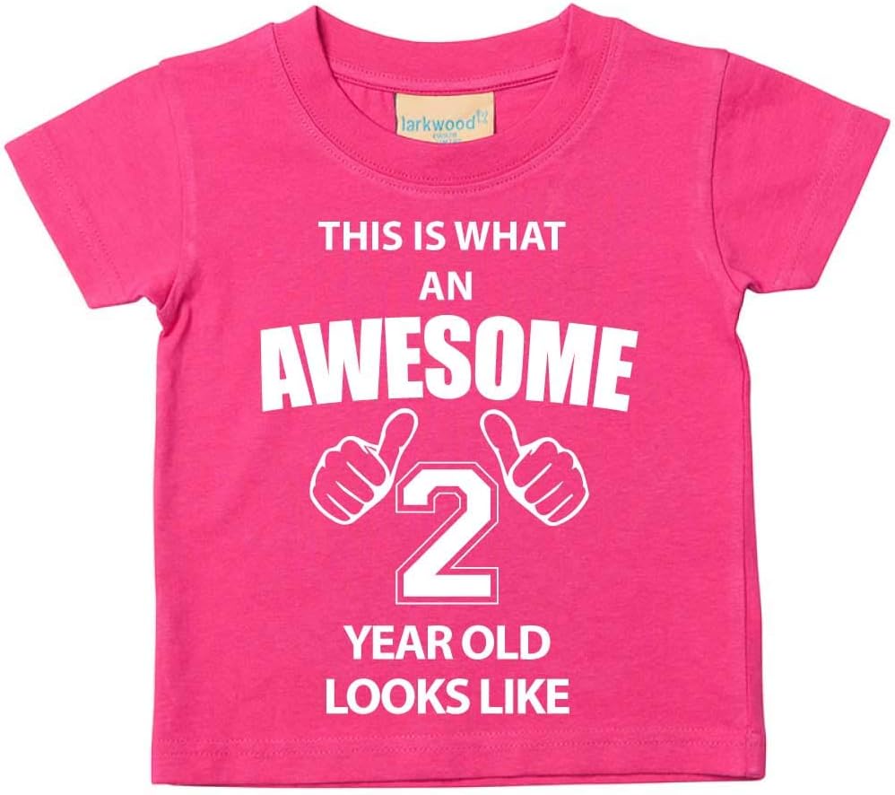 60 Second Makeover Limited This is What an Awesome 2 Year Old Looks Like Pink Tshirt