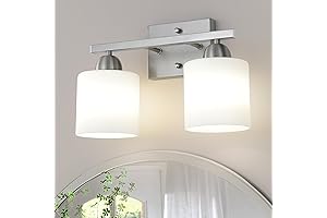 Stainless Steel Milk Glass Wall Mount Vanity Light