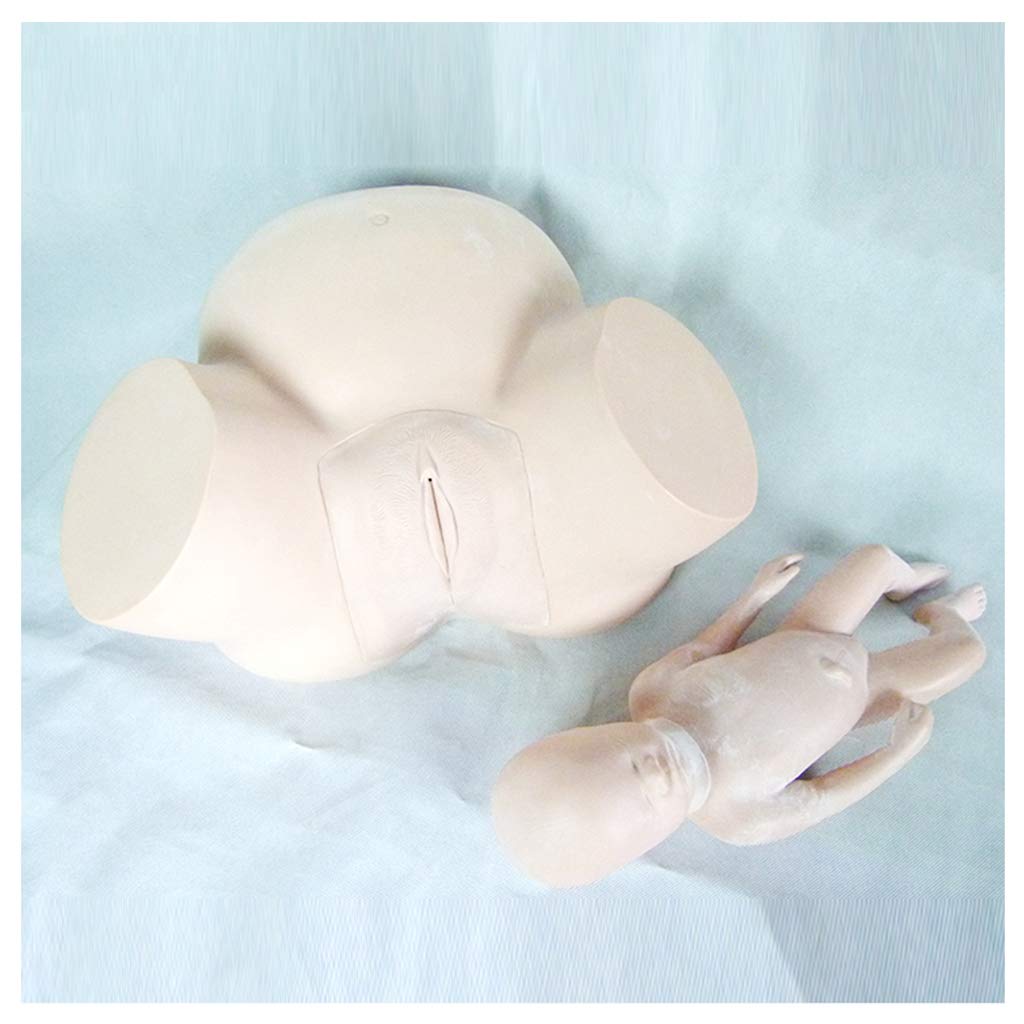 Sjdopulse Women's Baby Delivery Model Midwifery Training Model - Maternity Teaching Mold Birth Simulator Childbirth Demonstration Models Manikin Teaching Model For Nursing