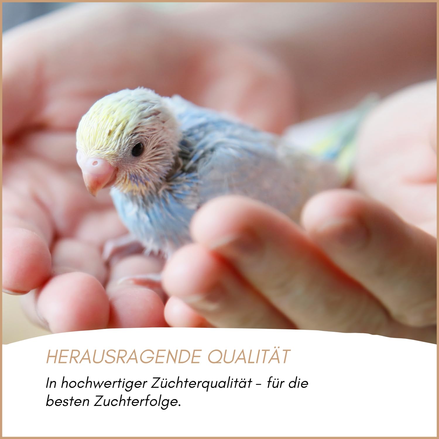 Supravit Vogelgrit 4kg – Grit für Vögel & Geflügel – Mineralgrit mit Calcium für Wellensittiche, Papageien, Nymphensittiche, Tauben & Hühner – Verdauungshilfe & Ergänzungsfutter