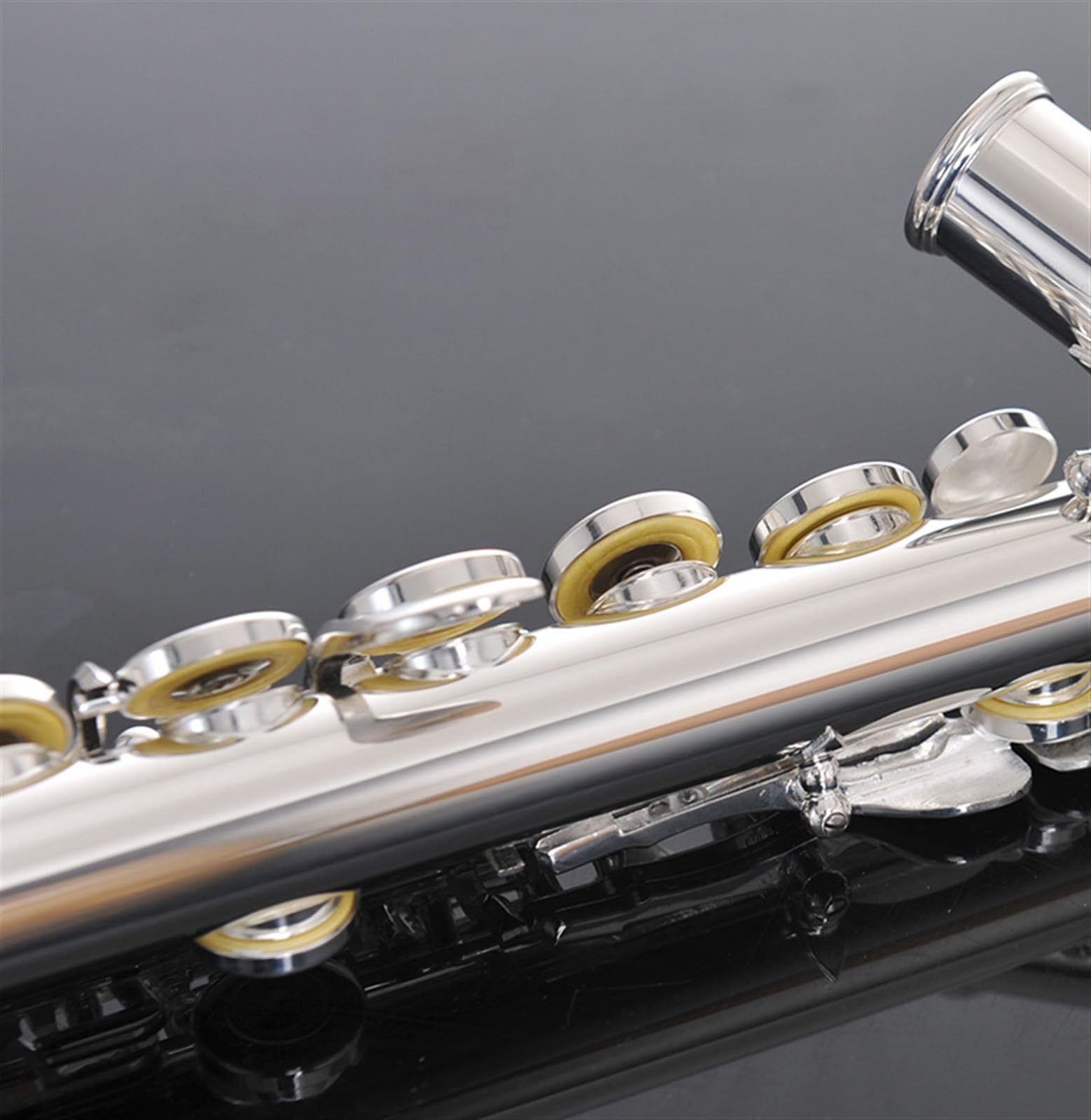 Classic Flûte Traversière Flûte Instrument 16 Trous Trou Fermé Maillechort Flûte Instrument Clé C Examen Débutant Majeur(Silver)