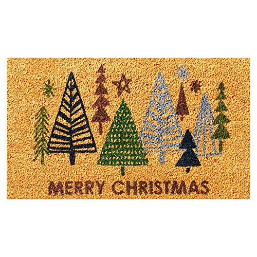 Lash Design by Kaylee's Amazon Page