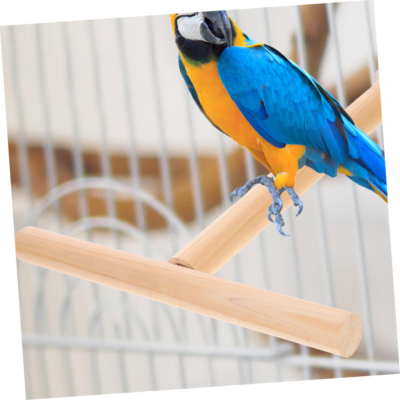 VANZACK 8pièces pour Oiseaux Perches pour Volières Et Jouets à Gratter pour Perroquets Perruches Et Oiseaux