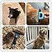 CosyFam Dog Brush Cat Brush Brushes for Shedding Pet Grooming Kit- Best Tools for Short to Long Haired Pets in Small Medium and Large Size (Blue)