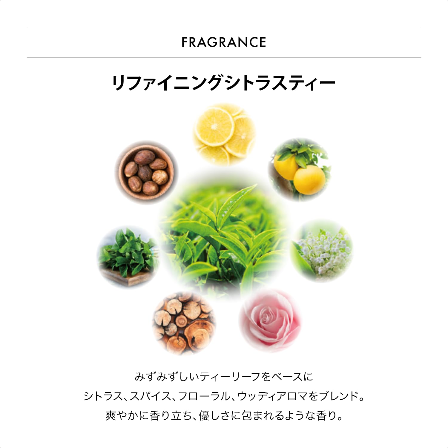 Amazon | 資生堂プロフェッショナル ザ・ヘアケア リファイニング