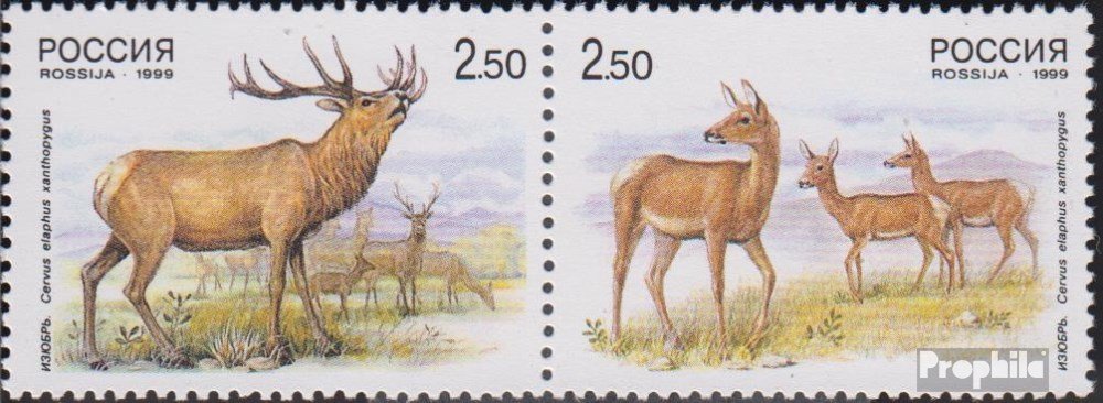 Russland Briefmarken 1999 – Komplettausgabe 729-733 Postfrisch, Territorien Der Föderation