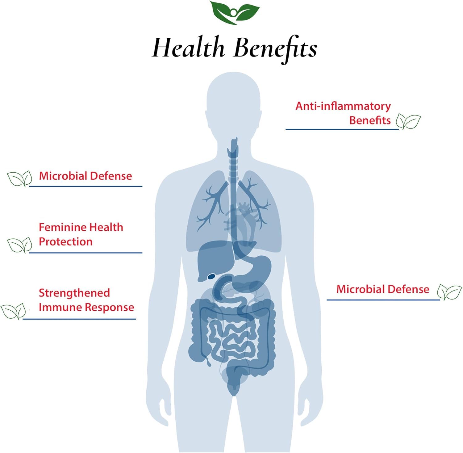 Foods For Gut Bifidobacterium Adolescentis Probiotic Powder 100 Billion cfu's | No Additives | Digestive & Immune Support | High Potency | B. Adolescentis | (100 Grams)