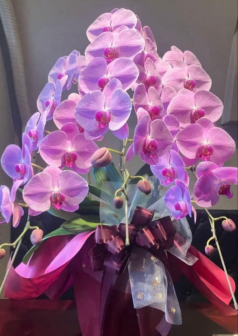 Amazon｜胡蝶蘭 ピンク 3本立ち｜造花 オンライン通販