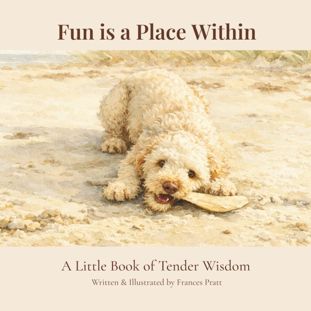 Fun Is a Place Within: A Little Book of Tender Wisdom (The Tender Wisdom Illustrated Series)