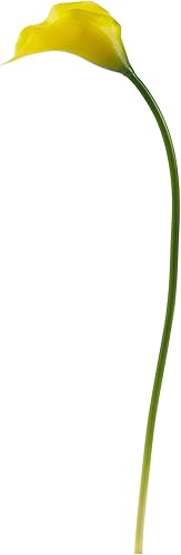 Miniatura 4 de Nearly Natural 19.5" flor de lirio de cala (juego de 12) crema artificial para plantas