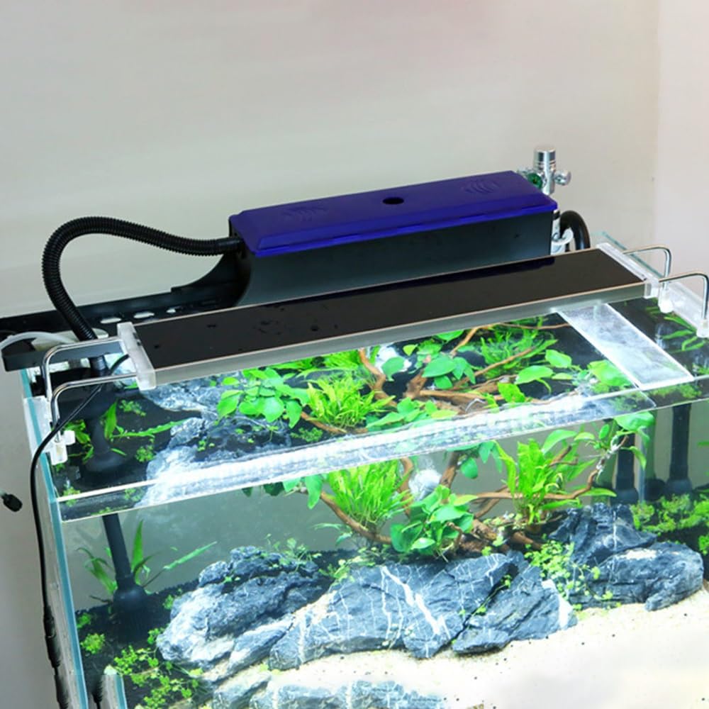 Ultra cicha pompa tlenowa do akwarium, wielofunkcyjny napowietrzacz do stawu rybnego z przyssawkami, 220 V 50 Hz
