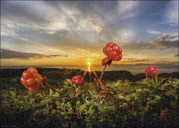 Heye Puzzles - 1000 Pc - Cloudberries, AvH - Image 3