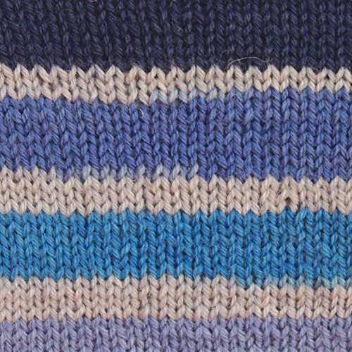 Image of Spinrite Yarns Patons Kroy Socks, 1.75 Ounce, Coastal