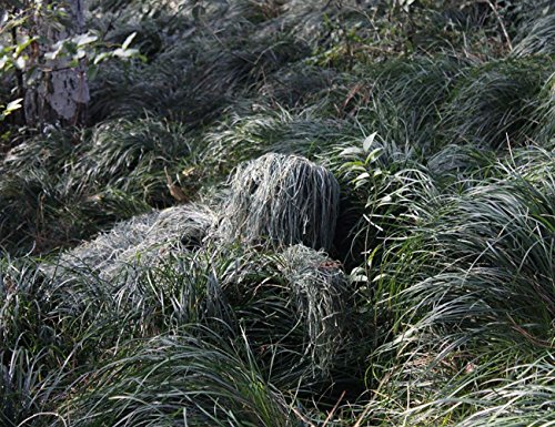 Uheng Ghillie Suit Leafy Camo Woodland Camouflage Forest Hunting 4-Piece + Bag, 3D Ghillie Suit for Men Lightweight Outdoor Jungle Army Tactical Wildlife Photography