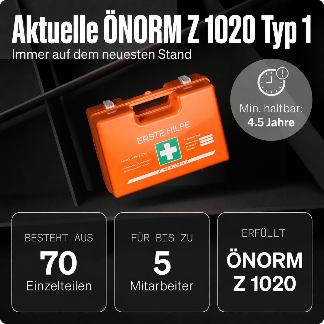 WERKSTEIN® Erste Hilfe Verbandskasten inkl. Wandhalterung [ÖNORM Z1020 TYP 1] - Erste Hilfe Kasten für Betriebe, Zuhause & Einrichtungen - Erste Hilfe Koffer - First Aid Emergency Bag - Sanikasten