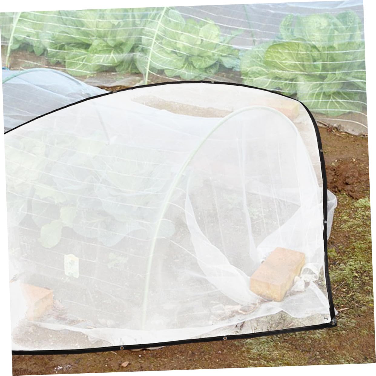 BESTonZON Lona de Plástico Transparente para Invernadero Aislamiento Antienvejecimiento, Adecuado para Protección de Plantas y Sombra Temporal