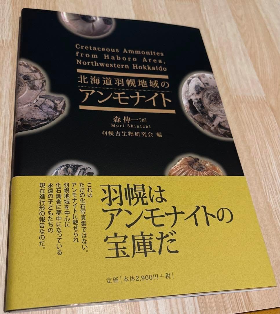 魚の化石 額装品 約30cm 魚の化石 額装品 約30cm Yahoo!オークション