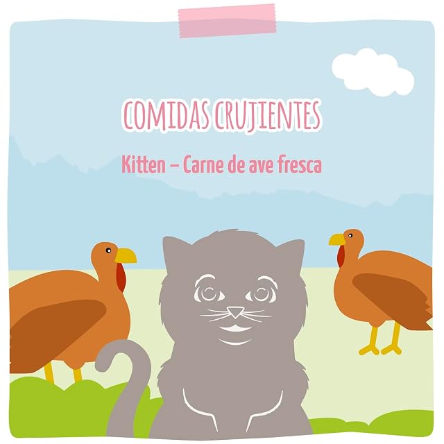 Foto 5 de 6 de MjAMjAM - Pienso seco Premium para Gatos - Comidas crujientes - Kitten