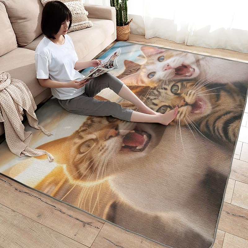 Washable Rugs for Entryway Living Room Bedroom, Cat Rug & Home Decor, Kitten Area Rug 2x3, Non Slip Soft Low Pile Non-Shedding Indoor Carpet, Decorative Patterned Rug