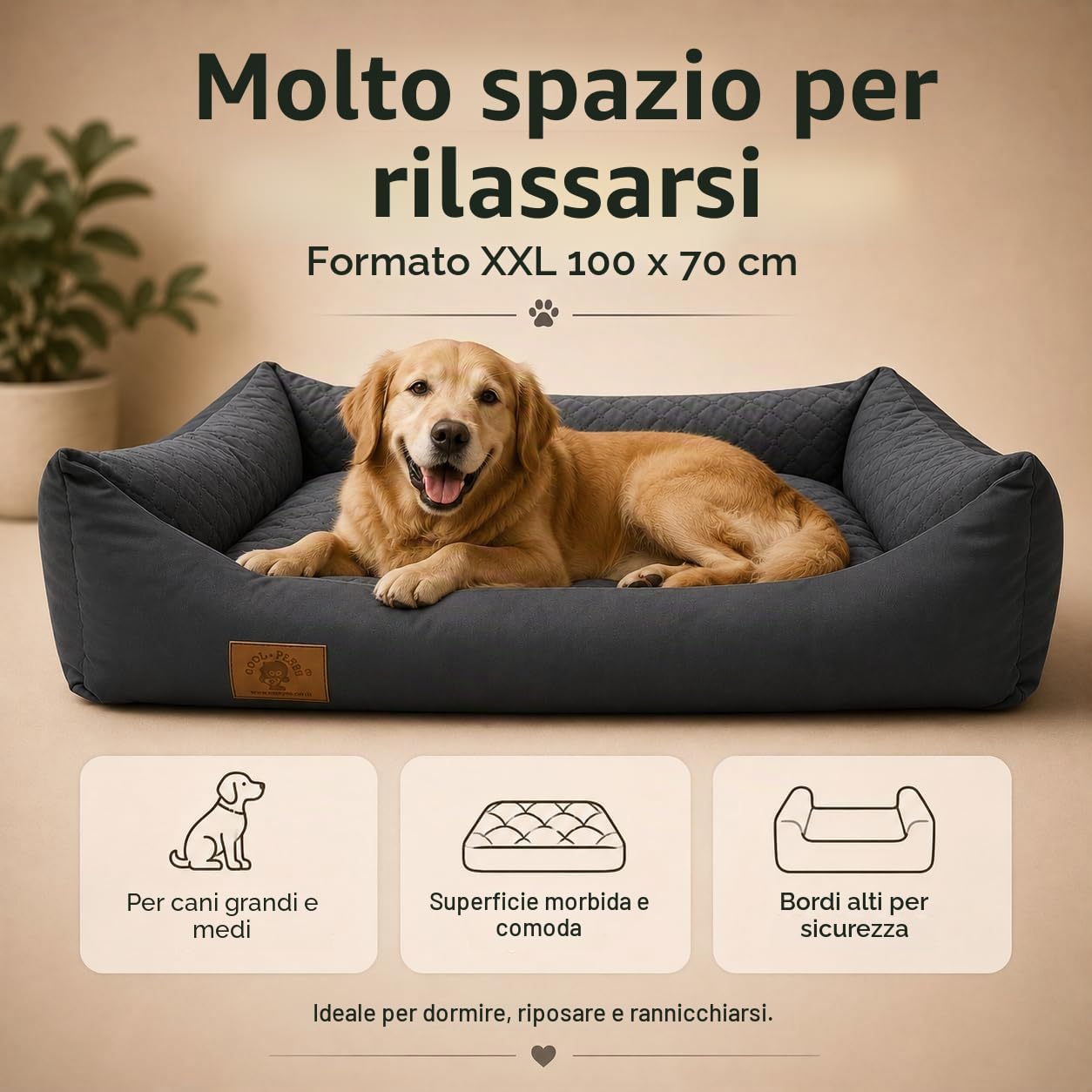 Odolplusz - Cuccia per cani XXL, cuscino per cani, divano per cani con cuscino reversibile (dimensioni e colore a scelta)