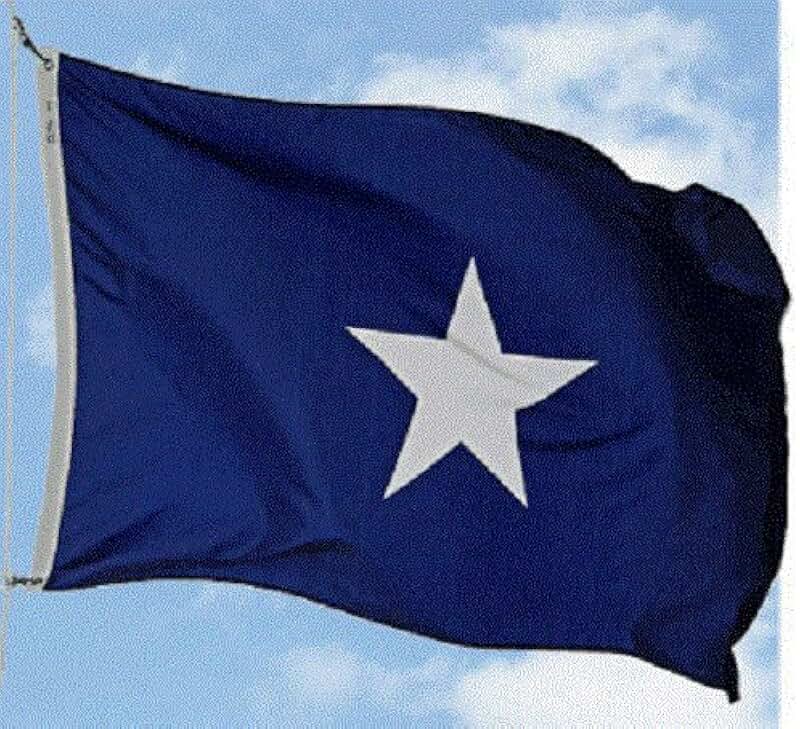 бонни блу батлер актриса. Bonnie blue. голубой флаг бонни. Bonnie blue. бонни блу флаг.