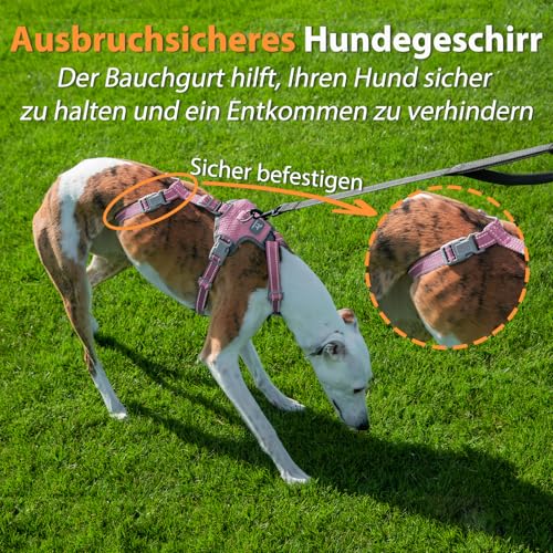 Huntboo Sicherheitsgeschirr Hund Ausbruchsicher, Panikgeschirr für Hunde, Anti Zug Hundegeschirr, Reflektierend, Verstellbare, Leichte Weste für kleine, mittelgroße und große Haustiere (Rosa,M)