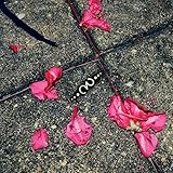 cafe moderno montclair  Montclair [Explicit]