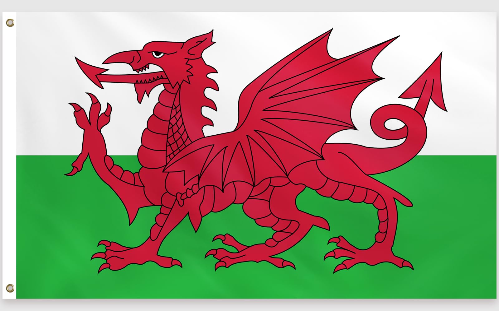 PartyYaa Welsh Flag, 5ft x 3ft Wales Dragon Flag for St.David's Day Decoration, Single Side with 2 Brass Eyelets, Waterproof