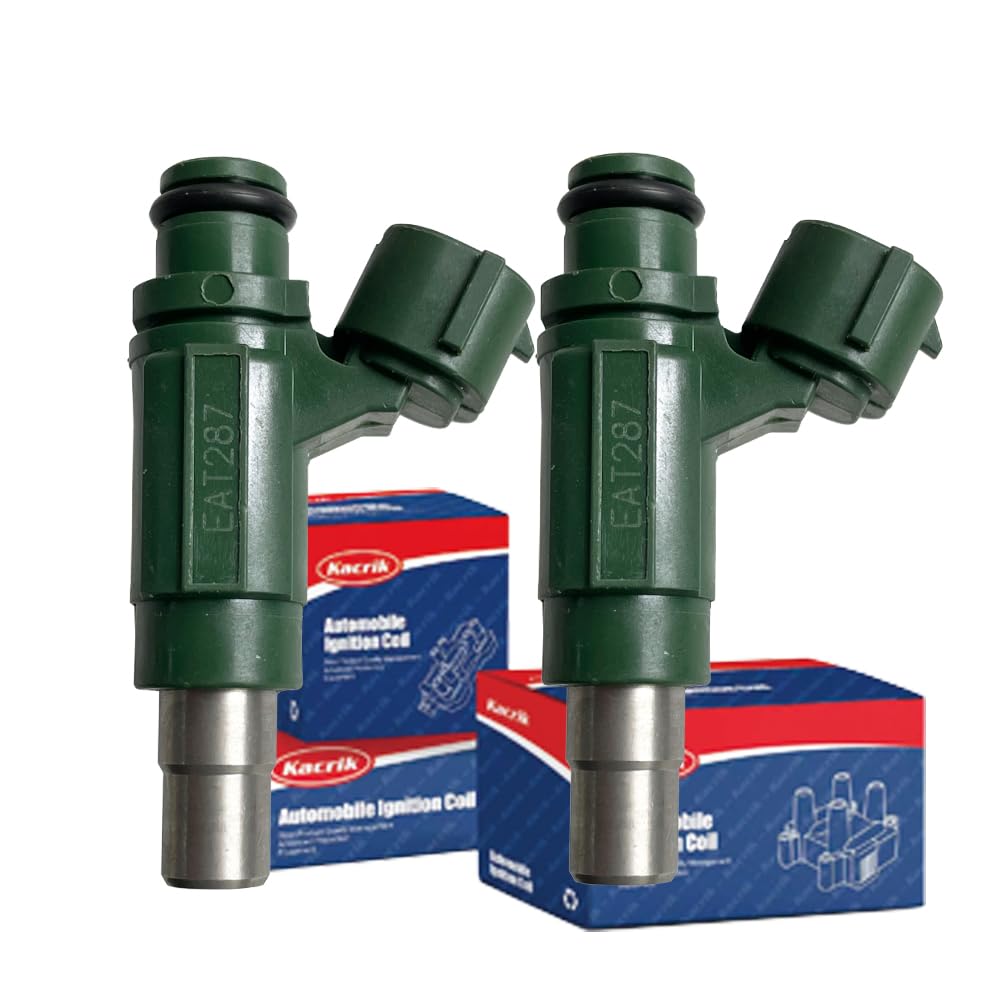 Amazon.com: Kacrik 49033-0011 2pcs 12 Holes Fuel Injectors