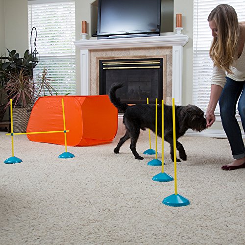 Outward Hound 41003 Zip & Zoom Indoor Dog Agility Training Kit thumb #6