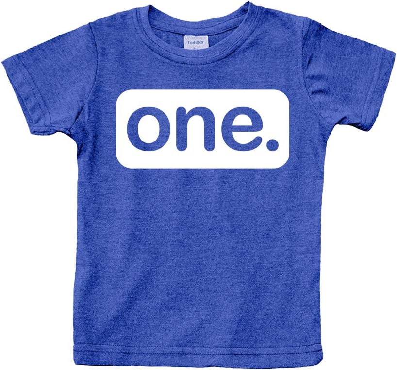 First Birthday Outfit boy 1st Birthday boy Gifts one Year Old Shirt Baby Boys